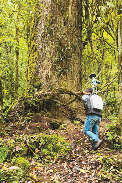 中国科研团队历经十年调查发布研究成果——中国有多少棵树?