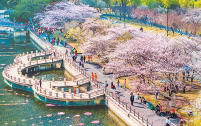 各地纷纷推进春日经济：不负好春光 深度游一场