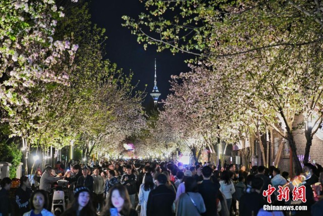 “海棠经济”点燃天津春日消费热潮