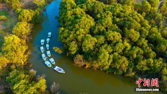 诗经故里绘就生态长卷 洽川春韵绽放文旅新姿