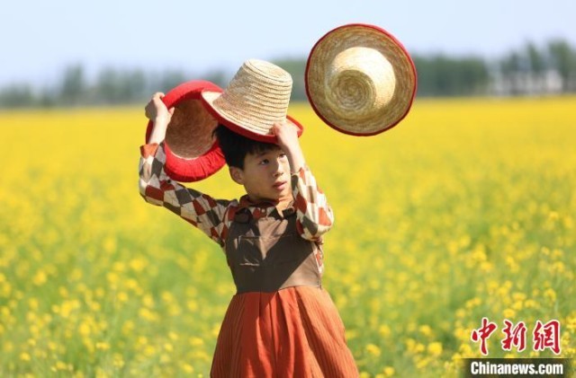 运河春色入画来：沧州油菜花海晕染千年水道