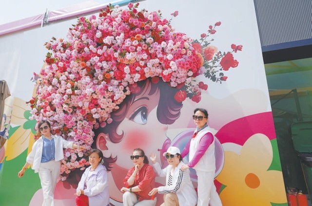 京西月季洲与赏花客“香约永定”